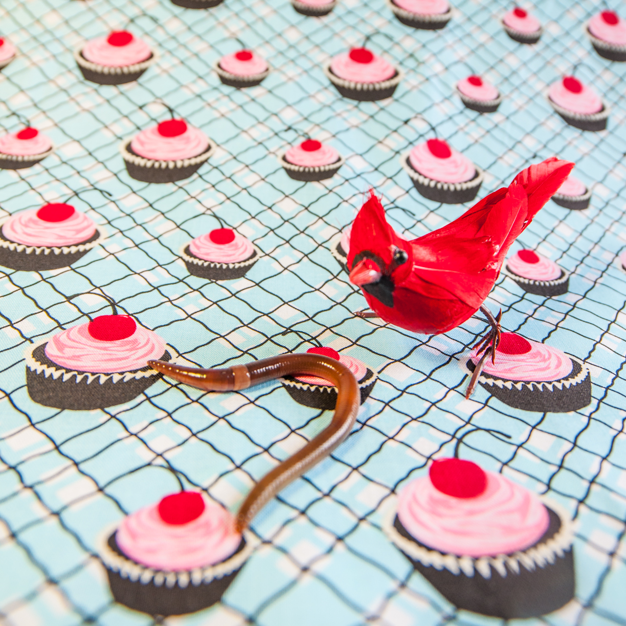 red bird 3d cupcakes